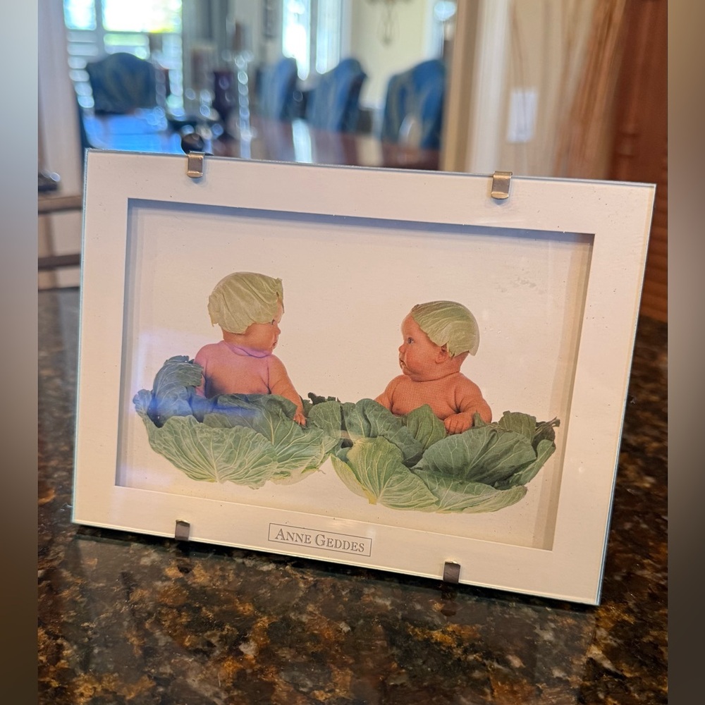 Vintage 1993 Anne Geddes "Cabbage Kids" Framed & Matted Lithograph Print
